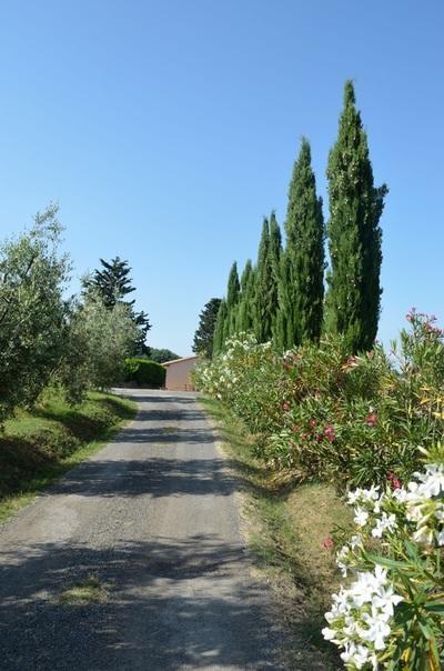 Agriturismo Rosa Dei Venti Помаранче Екстер'єр фото
